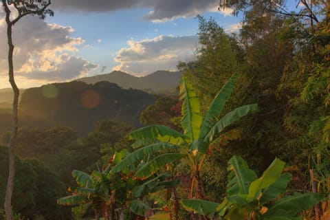 Natural landscape, Sunset