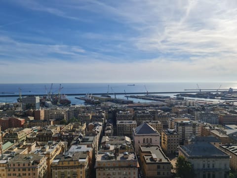 Nearby landmark, City view, Sea view