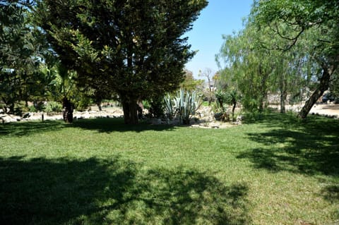 Natural landscape, Other