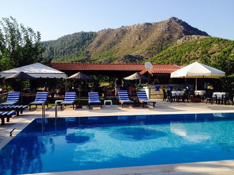 Day, Swimming pool, Swimming pool