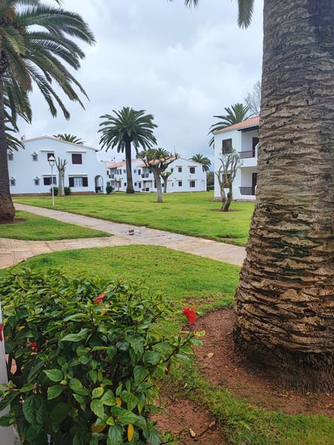 Garden, Balcony/Terrace, Garden view