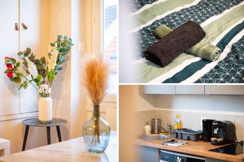 Le Petit Tremblay at 10 min Parc des Expos / CDG Apartment in Île-de-France