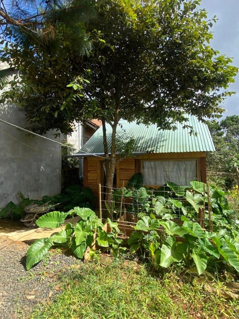 Property building, Spring, Day, Garden, Garden view