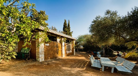 People, BBQ facilities, Garden, Balcony/Terrace, Family