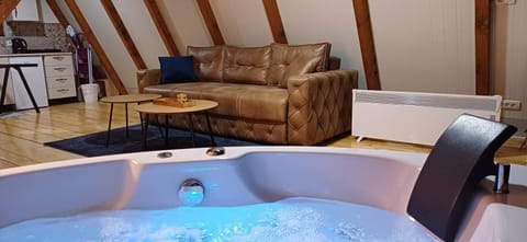 Vip Villa Jagodina - Jakuzzi is free - Private parking is free - Beautiful view of nature House in Serbia