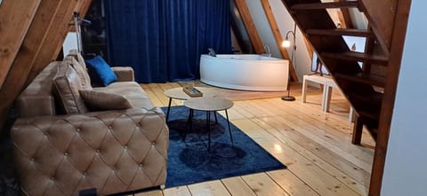 Vip Villa Jagodina - Jakuzzi is free - Private parking is free - Beautiful view of nature House in Serbia