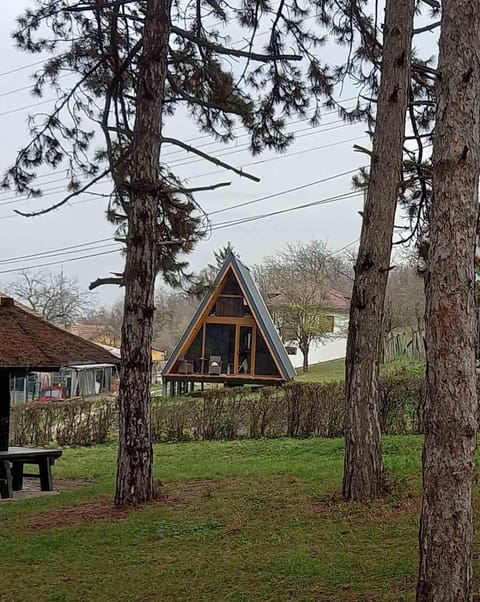 Vip Villa Jagodina - Jakuzzi is free - Private parking is free - Beautiful view of nature House in Serbia