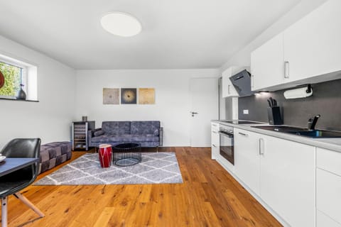 Kitchen or kitchenette, Living room, Seating area, Dining area, stove, kitchen