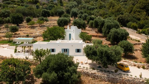 Property building, Day, Natural landscape, Bird's eye view, Garden, Garden view, Landmark view, Swimming pool, Parking