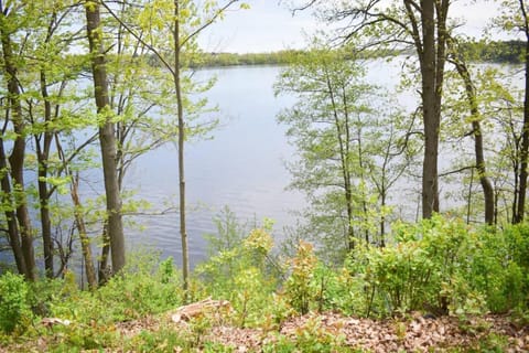 Bliss on the Lake House in Wausau