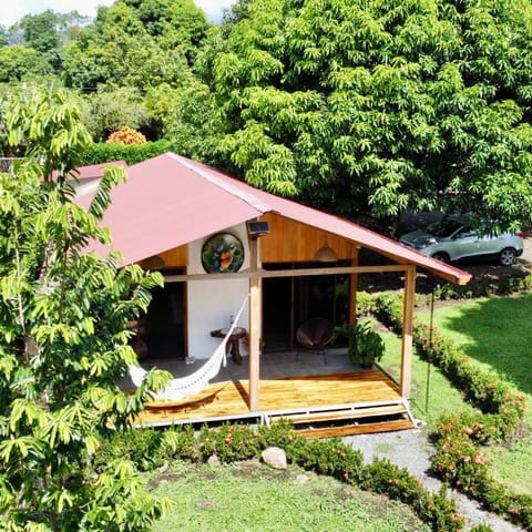 Garden view, sunbed
