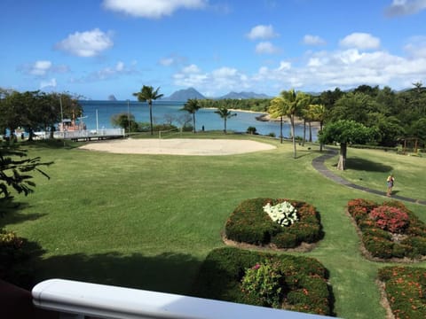 Garden, Beach