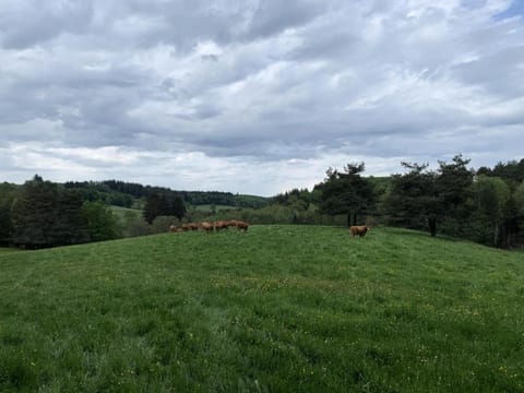 Gîte de France à Saint-Exupéry-les-Roches 3 épis - Gîte de France 6 personnes MAE-9064 Apartment in Auvergne-Rhône-Alpes