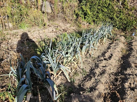 Gîte de France à Eygurande 2 épis - Gîte de France 4 personnes MAE-9164 Apartment in Auvergne-Rhône-Alpes