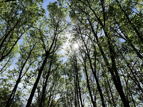 Gîte de France à Lignareix 3 épis - Gîte de France 8 personnes MAE-9224 Apartment in Auvergne-Rhône-Alpes