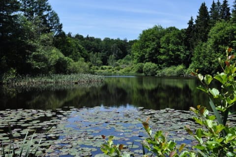 Gîte de France à Lignareix 3 épis - Gîte de France 8 personnes MAE-9224 Apartment in Auvergne-Rhône-Alpes