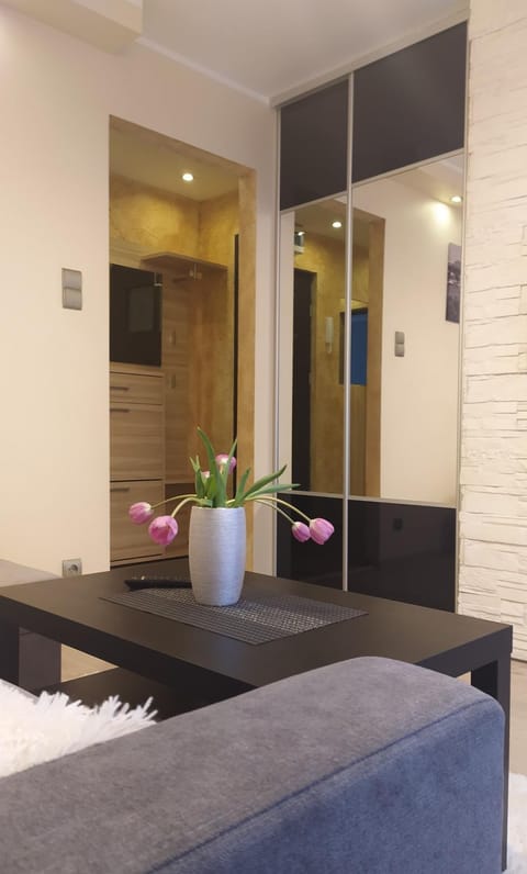 APARTAMENT SŁUPSK Apartment in Pomeranian Voivodeship