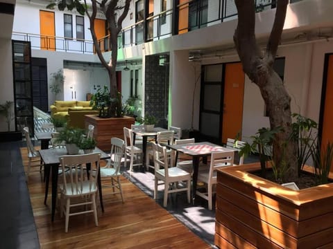 Mini Loft 107 Apartment in Mexico City