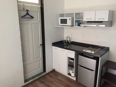 Mini Loft 107 Apartment in Mexico City