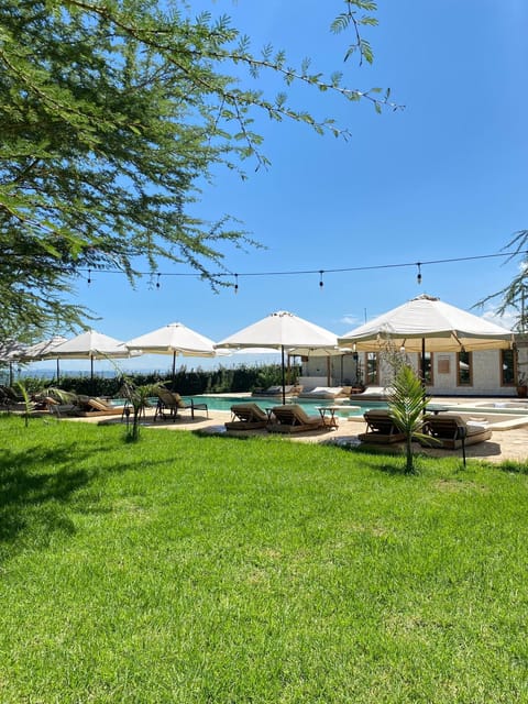 Garden, Pool view, Swimming pool
