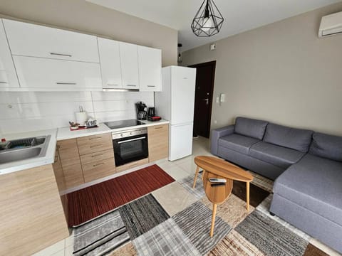 Living room, kitchen