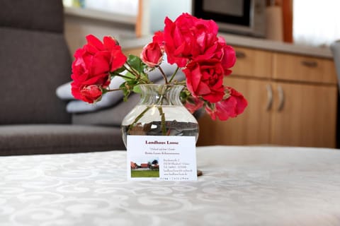 Ferienhaus Landhaus Loose House in Ostholstein