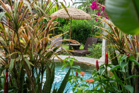 Garden, Swimming pool