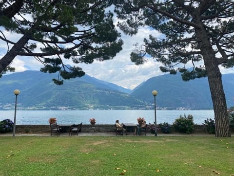 Garden, Garden view, Lake view