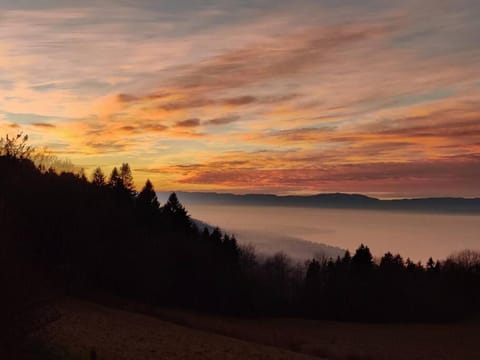 Svea Lodge Apartment in Haute-Savoie