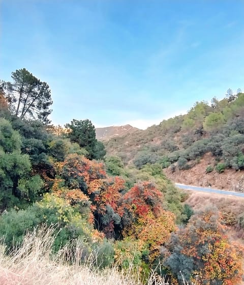 Natural landscape