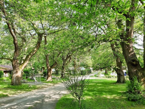 Facade/entrance, Garden