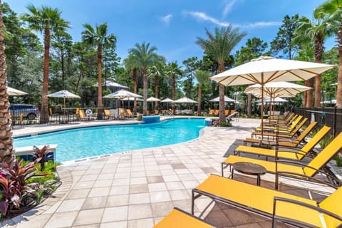 Day, Natural landscape, Garden, Balcony/Terrace, Living room, Garden view, Pool view, Swimming pool, sunbed