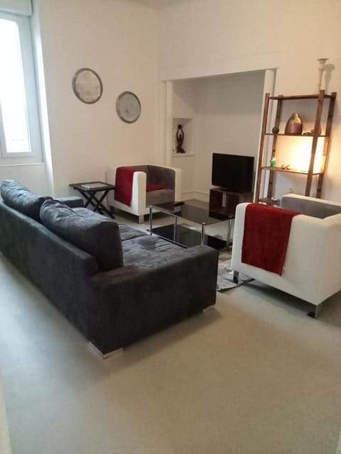 Logement spacieux et lumineux Apartment in Bourgogne-Franche-Comté