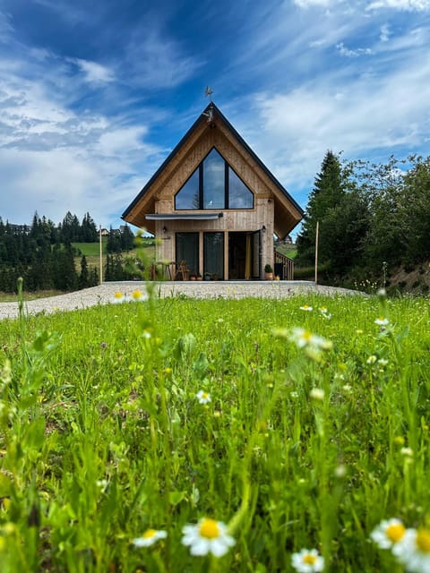 Property building, Natural landscape, Summer