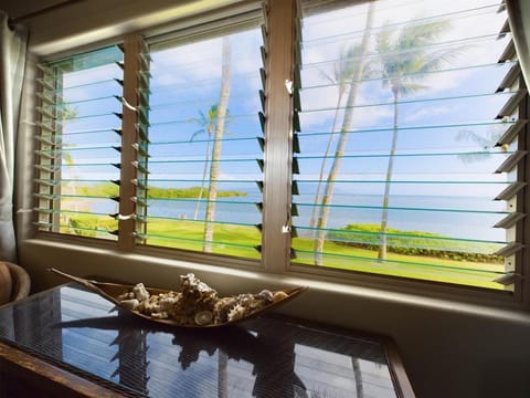 Oceanfront true 2 bedroom wlanai on Molokai Apartment in Molokai