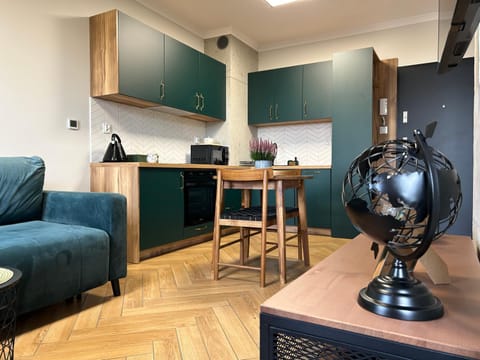 Witkacy Apartament Apartment in Pomeranian Voivodeship