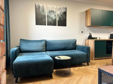 Witkacy Apartament Apartment in Pomeranian Voivodeship