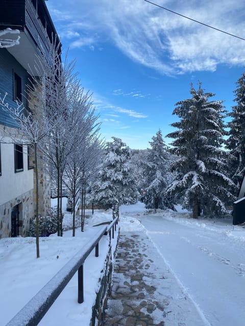 Divčibarski Vajati Apartment in Zlatibor District, Serbia