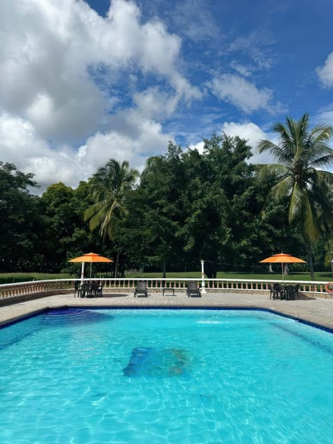 Day, Pool view, Swimming pool, sunbed