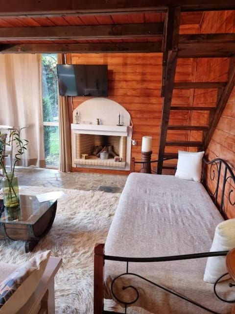 Ξύλινο Chalet Κτήμα Παππά Chalet in Euboea