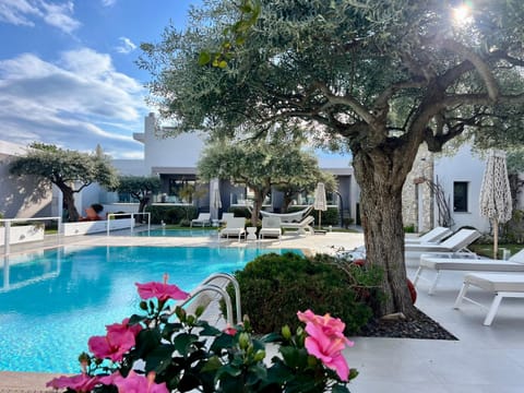 Property building, Patio, Spring, Day, Natural landscape, Garden, View (from property/room), Garden view, Pool view, Swimming pool, Inner courtyard view, sunbed