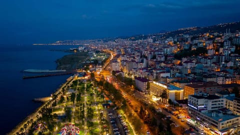 Nearby landmark, Night, Neighbourhood, Natural landscape, Bird's eye view, City view, Sea view, Street view, Location