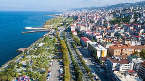 Property building, Day, Natural landscape, Bird's eye view, City view, Sea view, Location