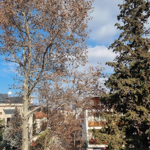 Luxury Apartment with parking space Apartment in Skopje