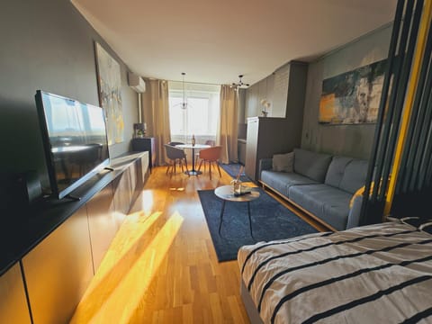 Bed, TV and multimedia, Living room, Photo of the whole room, Dining area, air conditioner