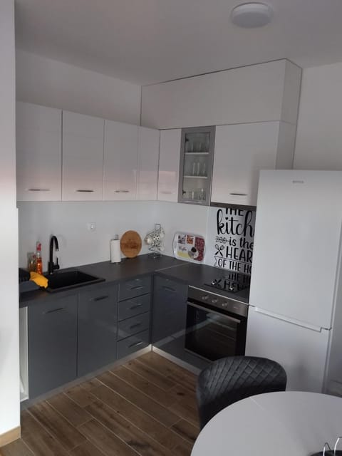 Apartman Savić Apartment in Zlatibor