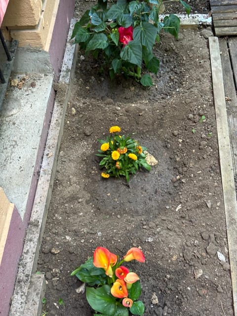 Pavillon 1 à 4 personnes chez l’habitant parfait pour une famille Apartment in Île-de-France