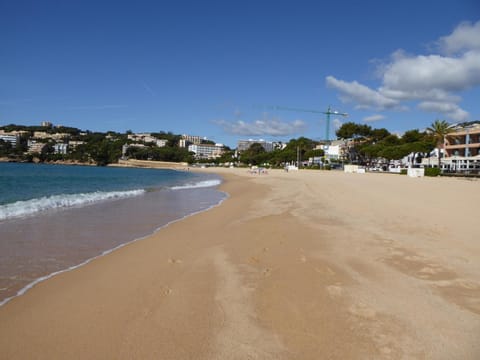 Nearby landmark, Natural landscape, Beach