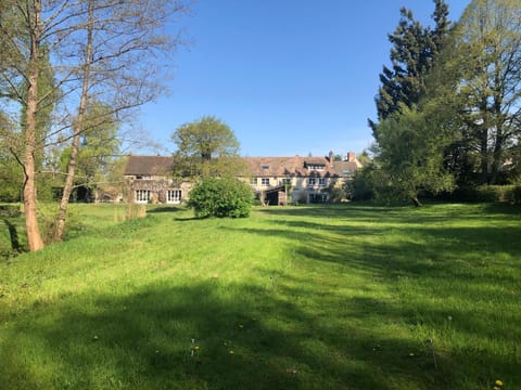 Patio, Garden, Garden view