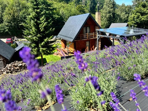 Property building, Spring, Garden